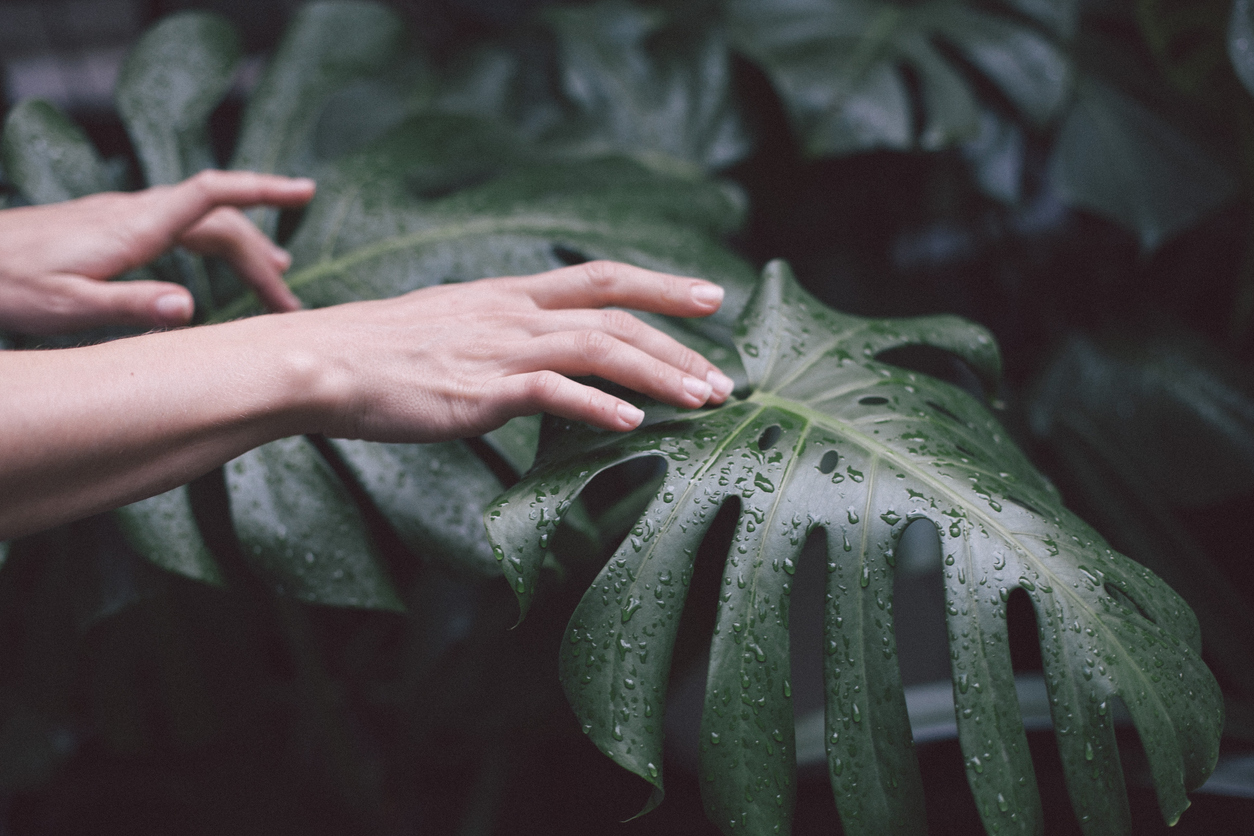 Young woman holding leaf of bush after rain.