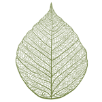 Leaf-Favicon