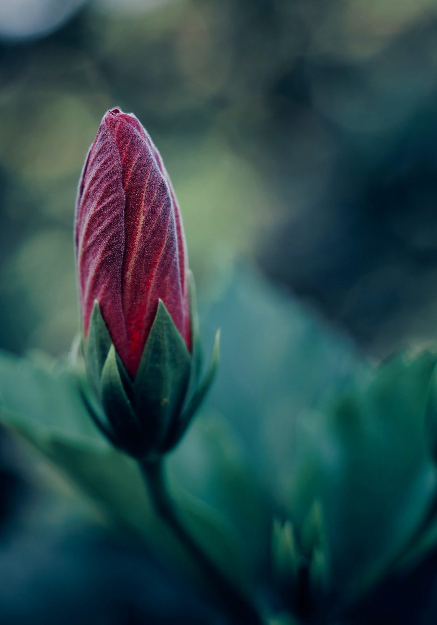 gilberto-olimpio-FLcgDCPqiiE-unsplash