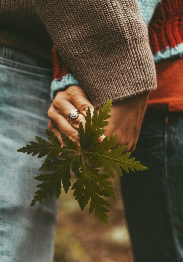 Love and nature people environment concept lifestyle. Close up of mid section couple hugging in relationship holding a big green leaf. Outdoor leisure activity together unrecognizable people. Dating